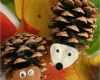 Halloween Fratzen Vorlagen Best Of Igel Basteln 35 Einfache Diy Ideen Mit Niedlichen Fratzen