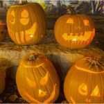 Halloween Fratzen Vorlagen Erstaunlich Halloween 2017 so Schnitzt Man Einen Schaurigen Kürbis