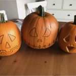 Halloween Fratzen Vorlagen Wunderbar Halloween Kürbis Schnitzen so Wird Es Gemacht Bee In
