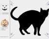 Halloween Katze Vorlage Angenehm Kürbis Schnitzvorlagen Zum Ausdrucken – Vorlage Muster