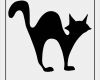 Halloween Katze Vorlage Best Of Black Cat Halloween Template