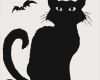 Halloween Katze Vorlage Erstaunlich Fensterdeko Silhouette Schattenschnitt Design Hexe Oder