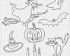 Halloween Katze Vorlage Genial Halloween Malvorlagen Hexen Gespenster Fledermause