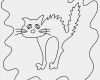 Halloween Katze Vorlage Hübsch Lustige Katze Halloween Bild Zum Ausmalen