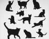 Halloween Katze Vorlage Schönste Schwarze Katze Silhouetten