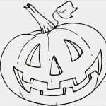 Halloween Kürbis Gesichter Vorlagen Süß Die Besten 25 Halloween Kürbis Vorlagen Ideen Auf