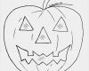 Halloween Masken Vorlagen Ausdrucken Cool Bastelndsaction Basteln Masken