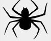 Halloween Menü Vorlage Cool Spinne Eklig Halloween sonofabeach