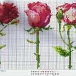 Handarbeit Sticken Vorlagen Erstaunlich Flores Cross Stitch Flowers