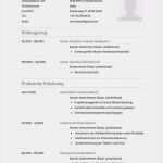Handgeschriebener Lebenslauf Vorlage Einzigartig 14 Handgeschriebener Lebenslauf Muster