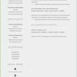 Handgeschriebener Lebenslauf Vorlage Elegant 18 Handgeschriebener Tabellarischer Lebenslauf Muster