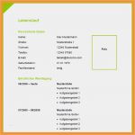 Handgeschriebener Lebenslauf Vorlage Schön 3 4 Handgeschriebener Lebenslauf Beispiel