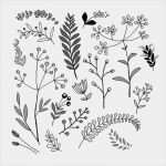 Handlettering Vorlagen Generator Bewundernswert Handlettering Schmuckelemente 21 95 Chf