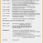 Handschriftliche Bewerbung Vorlage Erstaunlich Der Handschriftliche Lebenslauf Einbrgerung Lebenslauf