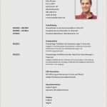 Handschriftlicher Lebenslauf Vorlage Genial 10 Handschriftlicher Lebenslauf Muster 2017