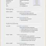Handschriftlicher Lebenslauf Vorlage Hübsch 10 Bewerbung Lebenslauf Vorlage tolle Für Lebenslauf