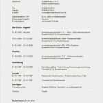 Handschriftlicher Lebenslauf Vorlage Luxus Tabellarischer Lebenslauf Für Schulanmeldung Lebenslauf