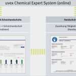 Handschuhplan Vorlage Gut Auswahlsystem Für Schutzhandschuhe Ces