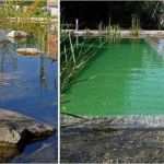 Handwerker Homepage Vorlagen Angenehm Handwerker Homepage Werbeagentur Denali