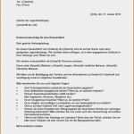 Handwerker Homepage Vorlagen Süß assistent Haupt Lebenslauf Und Anschreiben Handwerk