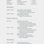 Handwerker Homepage Vorlagen Wunderbar Bewerbungsmuster Techniker