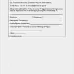 Handwerker Rapport Vorlage Erstaunlich 12 Bestellung Muster