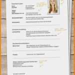 Handwerker Rapport Vorlage Fabelhaft 12 Kurzvita Muster