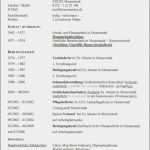 Handwerker Rapport Vorlage Inspiration 12 Kurzvita Muster