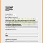 Handwerker Rapport Vorlage Wunderbar 12 Bestellung Muster