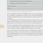Handwerker Rapport Vorlage Wunderbar 15 Projektarbeit Muster