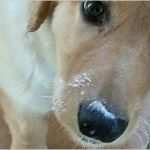 Handyverbot Am Arbeitsplatz Vorlage Einzigartig Arbeitsrecht Ihre Rechte Am Arbeitsplatz