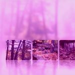 Handzettel Vorlagen Kostenlos Einzigartig Kostenlos Download Gespiegelte Vorlagen Fur Microsoft