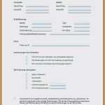 Hängeregister Beschriftung Vorlage Word Angenehm 15 Beschriftung Großer Briefumschlag