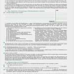 Haus Und Grund Dsgvo Vorlage Cool Einzigartig Muster Mietvertrag Haus Und Grund