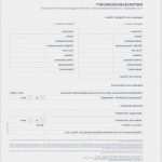 Haus Und Grund Mieterhöhung Vorlage Genial Selbstauskunft Mieter Vorlage