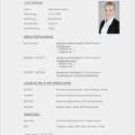 Hausarbeit Jura Vorlage Best Of Lebenslauf Vorlage Für Openoffice