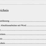Hausarbeit Jura Vorlage Fabelhaft Bachelorarbeit Inhaltsverzeichnis Erstellen