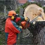 Hausbau Angebote Einholen Vorlage Cool Preise Für Erdarbeiten Beim Privaten Einfamilienhausbau