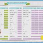 Haushaltsbuch Muster Vorlagen Schön Haushaltsplan Muster Vorlagen Gut 4 Vorlage Haushaltsbuch