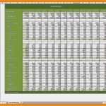 Haushaltsplan Finanzen Vorlage Cool Haushaltsplan Excel Vorlage Inspirierende 8 Vorlage