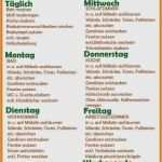 Haushaltsplan Mit Kindern Vorlage Inspiration Haushaltsplan Mit Kindern Vorlage Erstaunlich 5