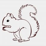 Hausnummer Vorlage Zum Ausdrucken Angenehm Ausmalbild Eichhörnchen