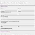 Hausnummer Vorlage Zum Ausdrucken Gut Bewerbungsbogen Für Ein Freiwilliges soziales Jahr In