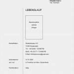 Headhunter Absagen Vorlage Gut Lebenslauf Vorlagen Headhunter100