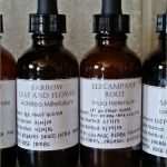 Herbarium Etiketten Vorlagen Genial Die Besten 25 Herbarium Vorlage Ideen Auf Pinterest