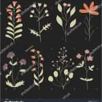 Herbarium Etiketten Vorlagen Genial Die Besten 25 Herbarium Vorlage Ideen Auf Pinterest