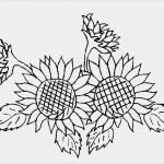 Herbarium Etiketten Vorlagen Großartig Ausmalbilder Blumen Ranken Kostenlos Malvorlagen Zum