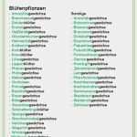 Herbarium Etiketten Vorlagen Wunderbar 13 Inhaltsverzeichnis Vorlage Kostenlos