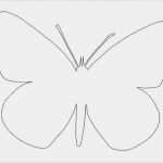 Herbstblätter Basteln Aus Papier Vorlagen Beste Hier Erkennen Sie Wie Kann Man Schmetterlinge Aus Papier