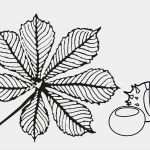Herbstblätter Vorlagen Kostenlos Angenehm Kastanienblatt Malvorlage Ausmalbilder Von Alle